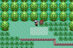 Detail Pokemon Emerald Route 103 Nomer 16