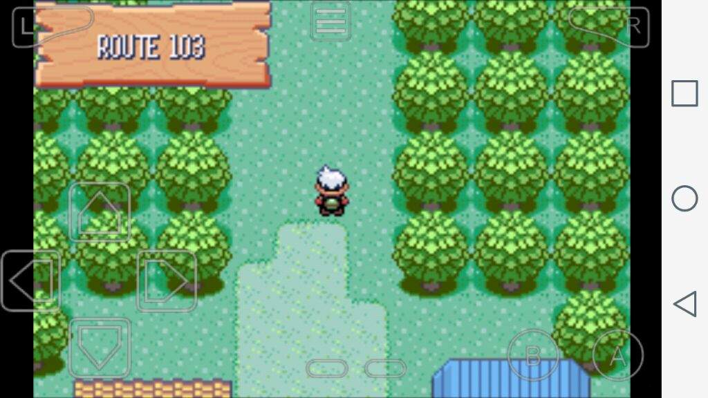 Detail Pokemon Emerald Route 103 Nomer 21