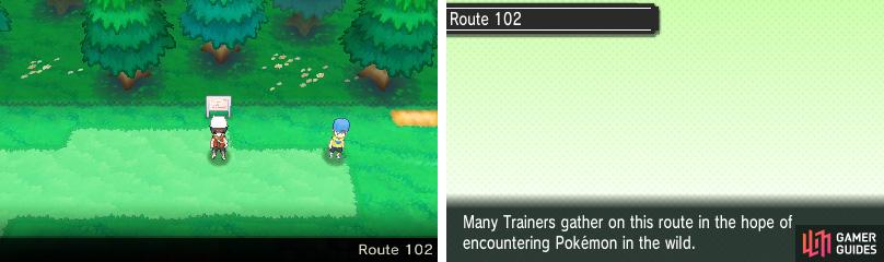 Detail Pokemon Emerald Route 103 Nomer 43