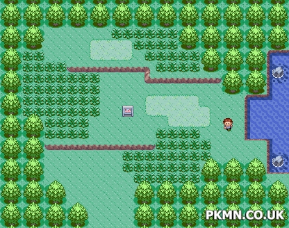 Detail Pokemon Emerald Route 103 Nomer 10