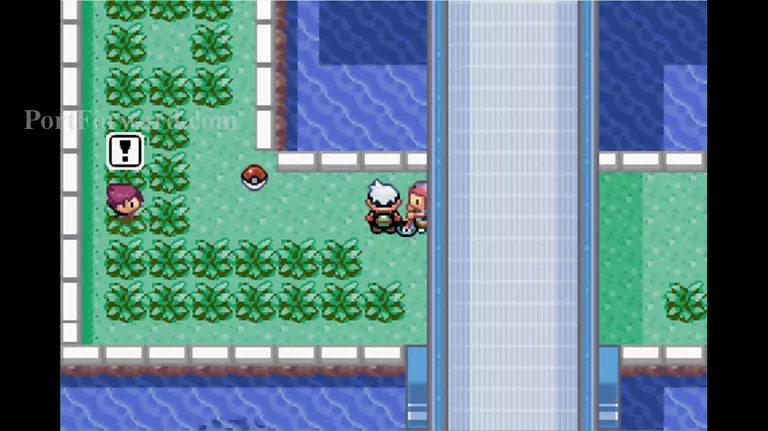 Detail Pokemon Emerald Route 110 Nomer 36