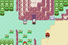 Detail Pokemon Emerald Route 118 Nomer 11