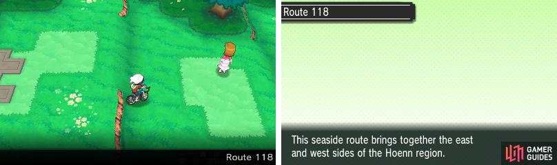 Detail Pokemon Emerald Route 118 Nomer 26
