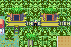 Detail Pokemon Emerald Route 119 Nomer 34