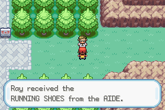 Detail Pokemon Emerald Running Shoes Nomer 7