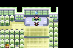 Detail Pokemon Emerald Sand Tower Nomer 48