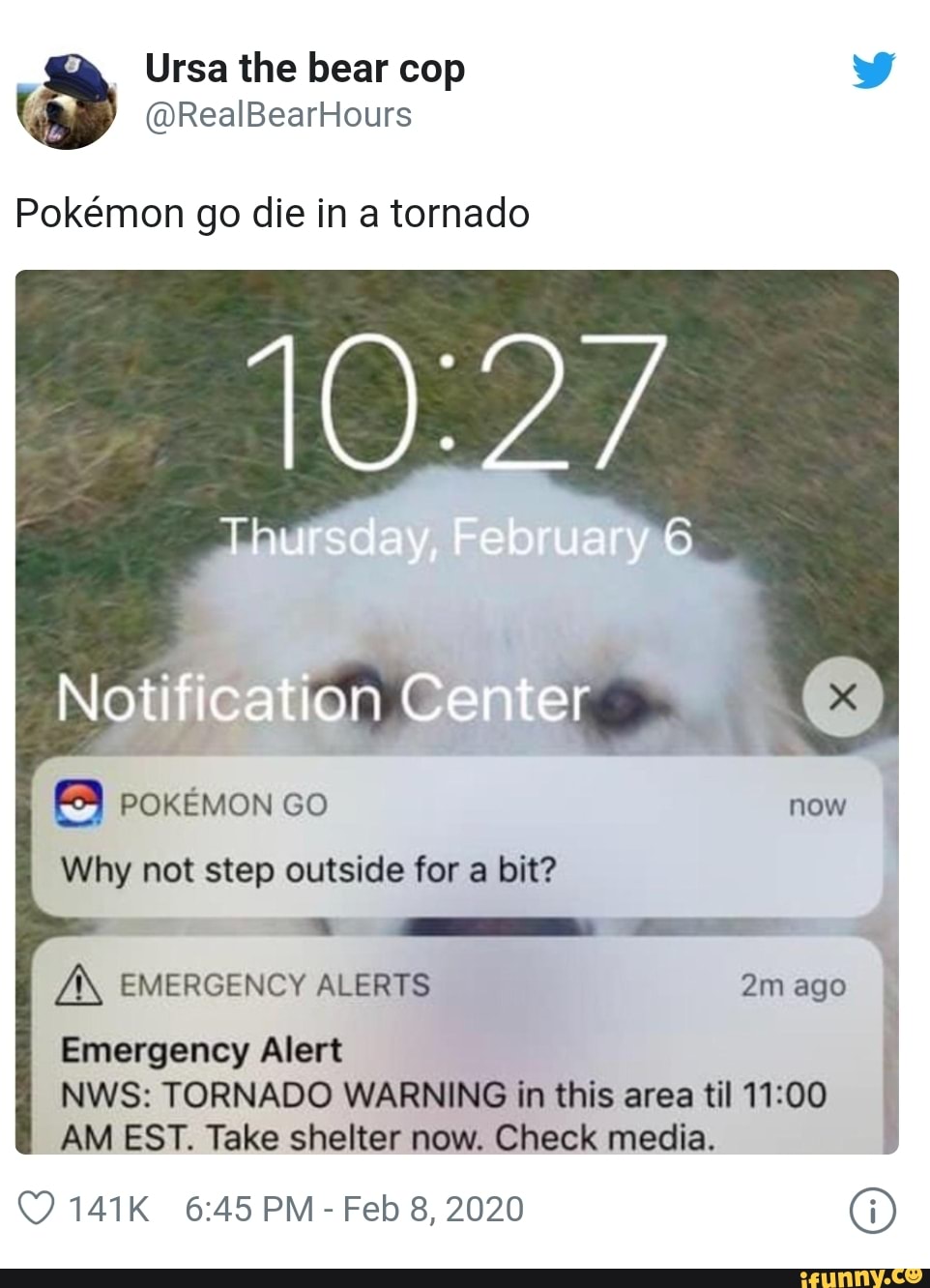 Detail Pokemon Go Tornado Meme Nomer 18