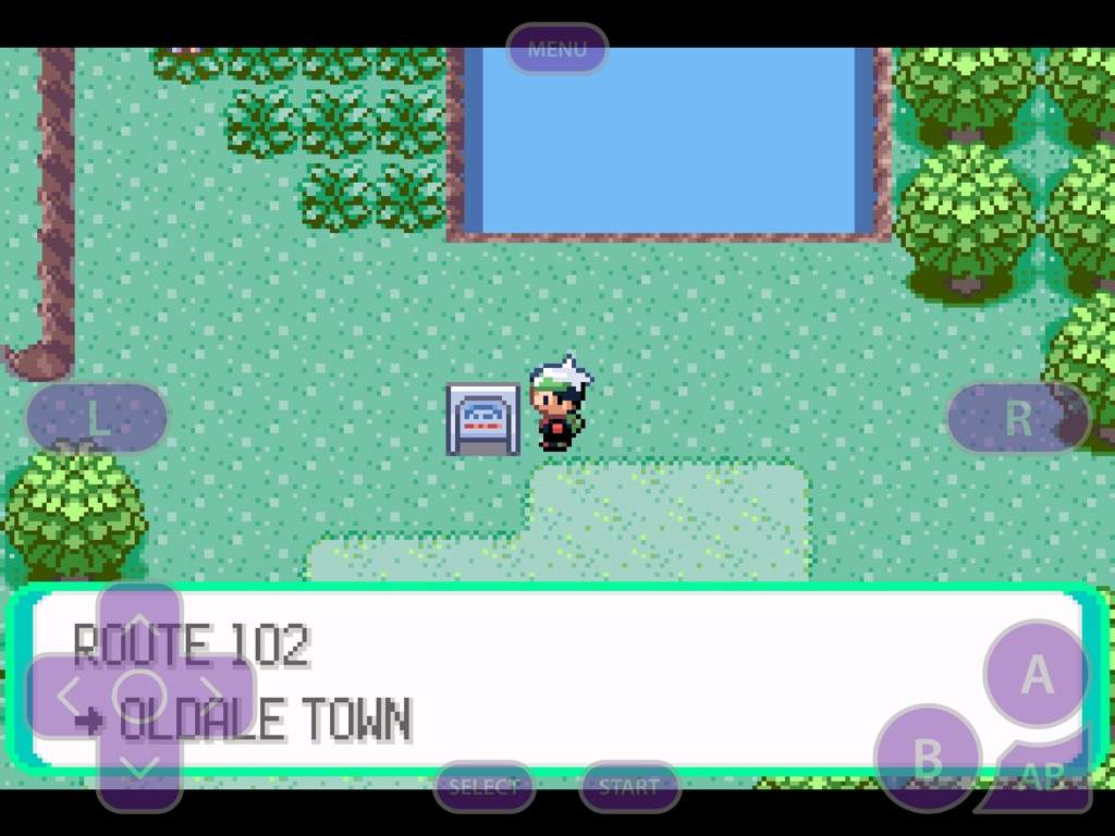 Detail Pokemon Ruby Route 102 Nomer 24