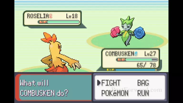 Detail Pokemon Ruby Route 112 Nomer 21