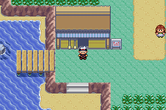 Detail Pokemon Sapphire Route 104 Nomer 12