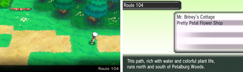 Detail Pokemon Sapphire Route 104 Nomer 26