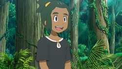 Detail Pokemon Sun And Moon Anime Hau Nomer 2