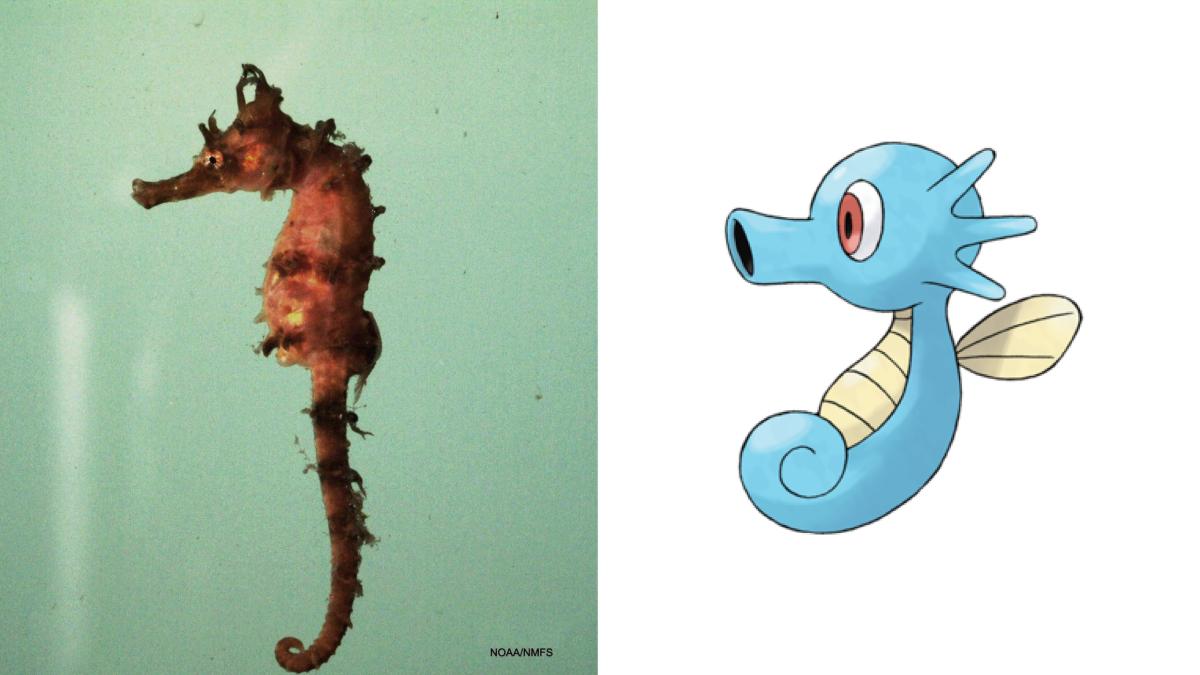 Detail Pokemon That Looks Like A Seahorse Nomer 12