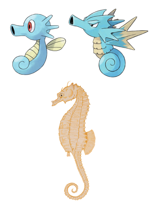 Detail Pokemon That Looks Like A Seahorse Nomer 14