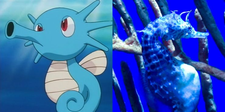 Detail Pokemon That Looks Like A Seahorse Nomer 18