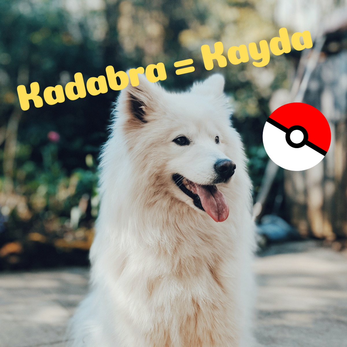 Detail Pokemons Images And Names Nomer 48