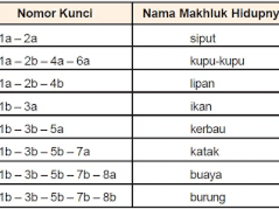 Detail Pola Determinasi Gambar Nomer 11