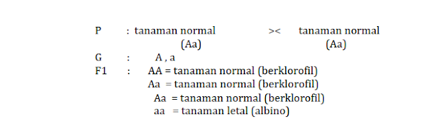 Detail Pola Determinasi Gambar Nomer 35