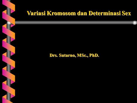 Detail Pola Determinasi Gambar Nomer 37