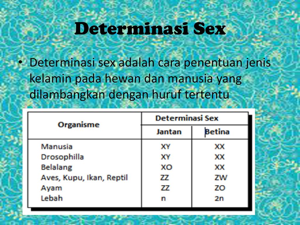 Detail Pola Determinasi Gambar Nomer 39