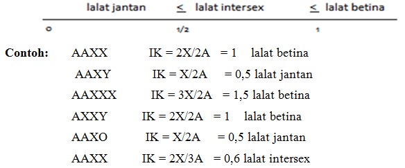 Detail Pola Determinasi Gambar Nomer 42