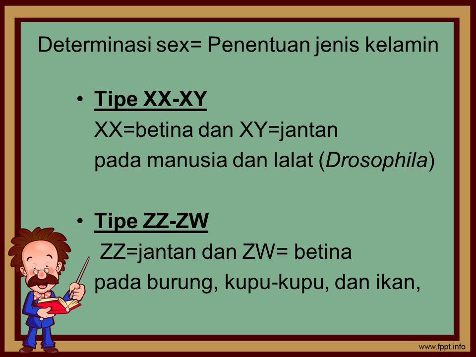 Detail Pola Determinasi Gambar Nomer 8