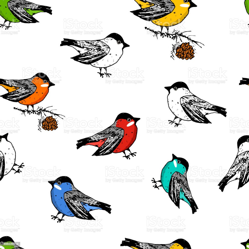 Detail Pola Gambar Hewan Burung Nomer 15