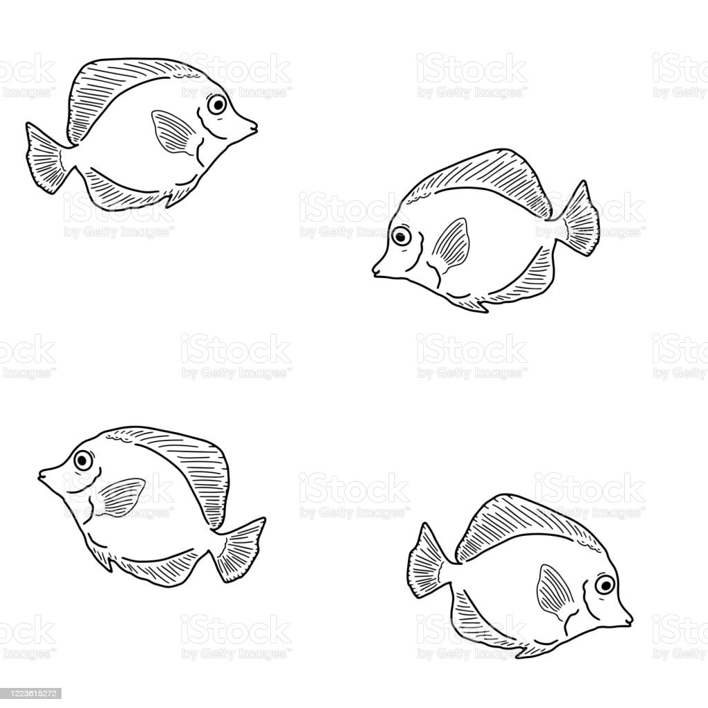 Detail Pola Gambar Ikan Nomer 15