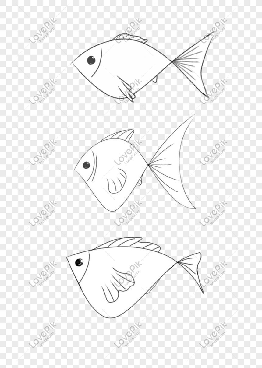 Detail Pola Gambar Ikan Nomer 17