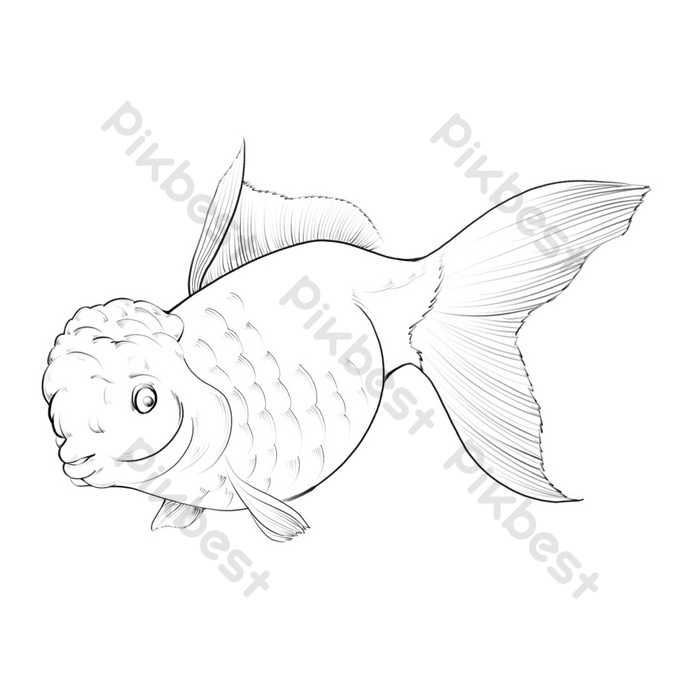 Detail Pola Gambar Ikan Nomer 26