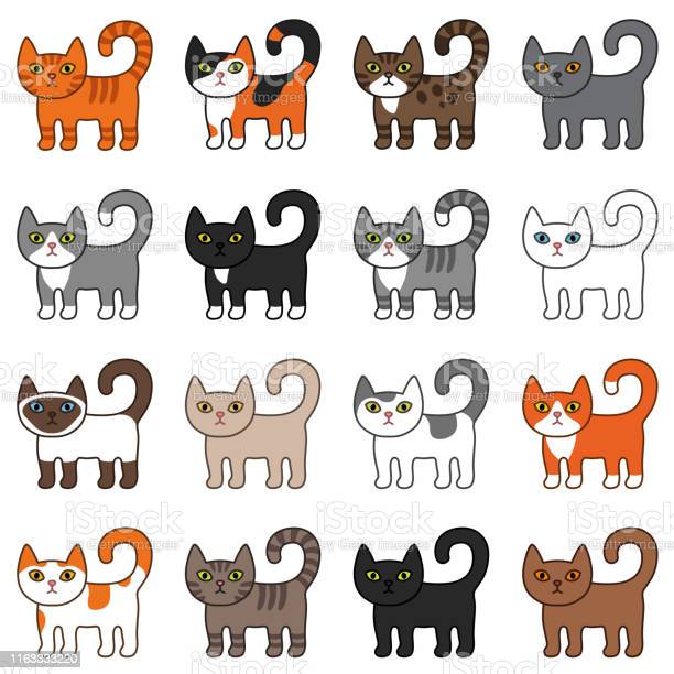 Detail Pola Gambar Kucing Nomer 11