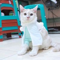 Detail Pola Membuat Baju Kucing Nomer 23