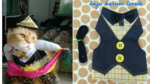 Detail Pola Membuat Baju Kucing Nomer 26