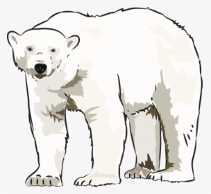 Detail Polar Bear Cartoon Png Nomer 36