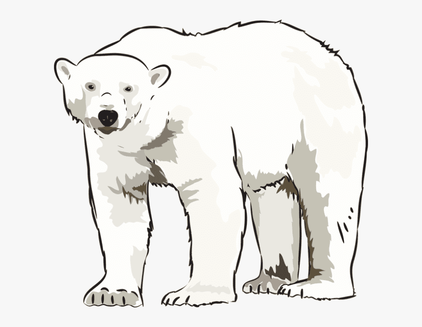 Detail Polar Bear Clipart Free Nomer 5