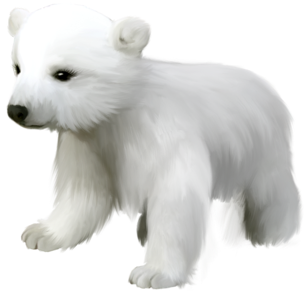 Detail Polar Bear Clipart Png Nomer 28