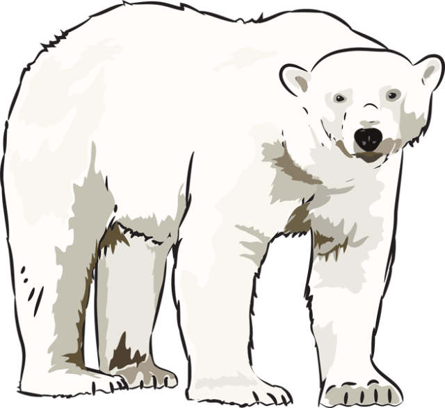 Detail Polar Bear Clipart Transparent Nomer 18