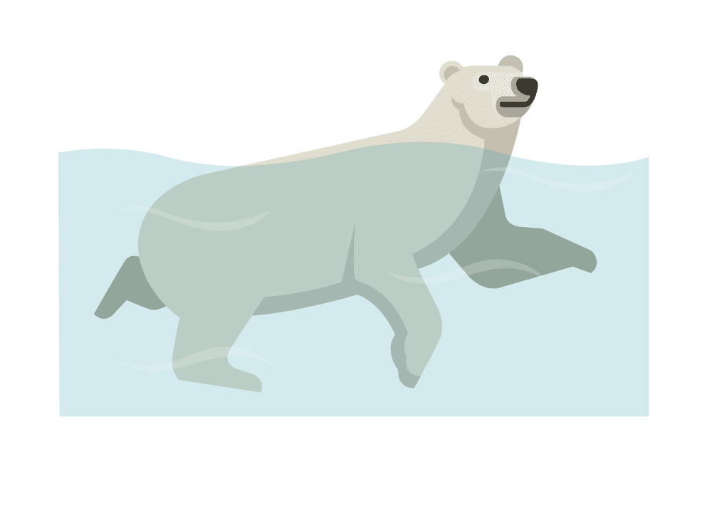 Detail Polar Bear Clipart Transparent Nomer 41