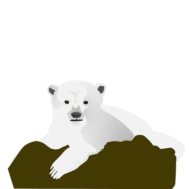 Detail Polar Bear Clipart Transparent Nomer 48