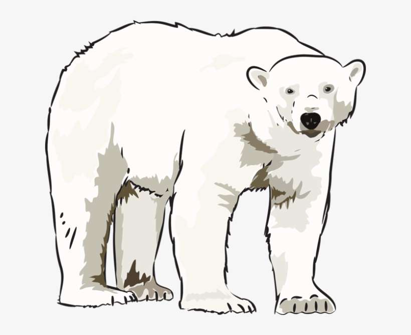 Detail Polar Bear Clipart Transparent Nomer 7
