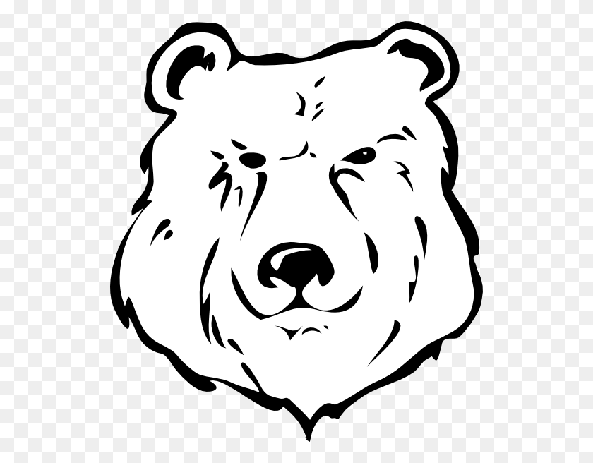 Detail Polar Bear Face Clipart Nomer 20