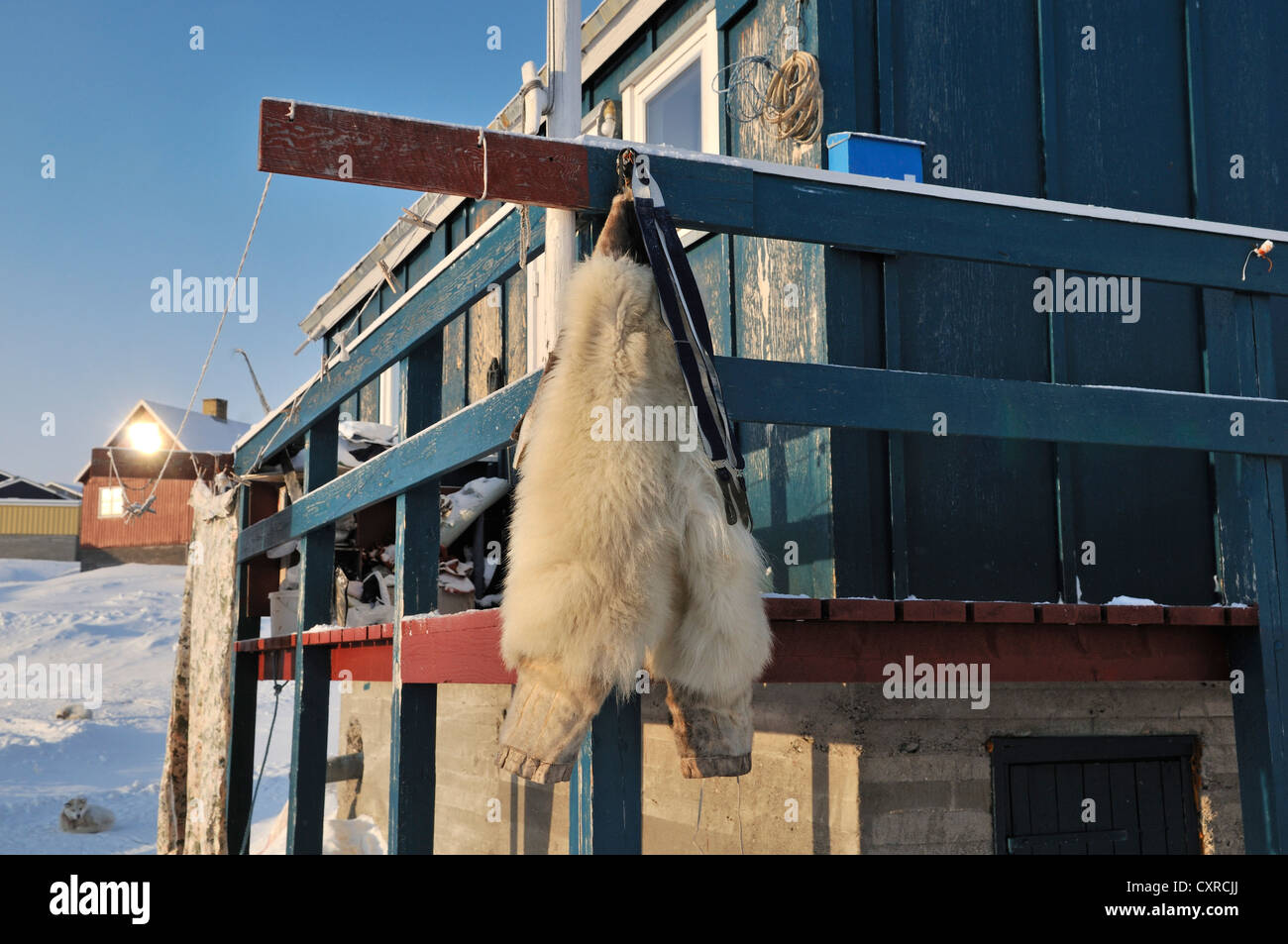 Detail Polar Bear Fur Coat Nomer 31
