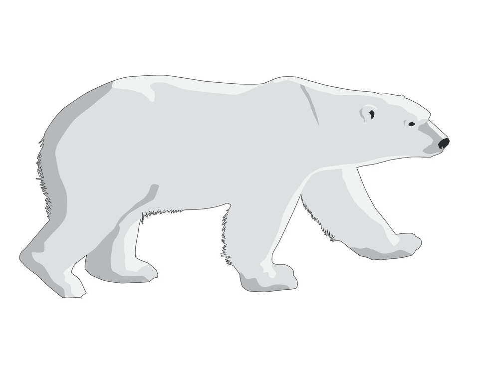 Detail Polar Bear Images Clip Art Nomer 12