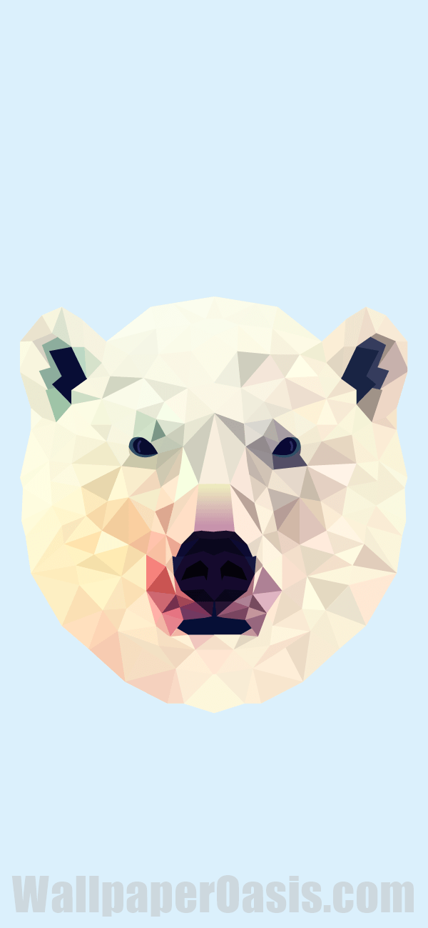 Detail Polar Bear Iphone Wallpaper Nomer 45