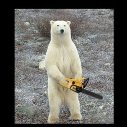 Detail Polar Bear Meme Generator Nomer 13