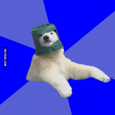 Detail Polar Bear Meme Generator Nomer 18