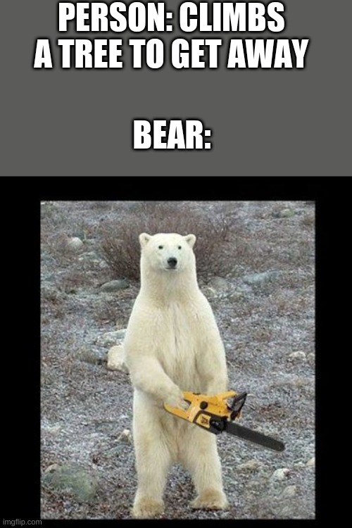 Detail Polar Bear Meme Generator Nomer 20