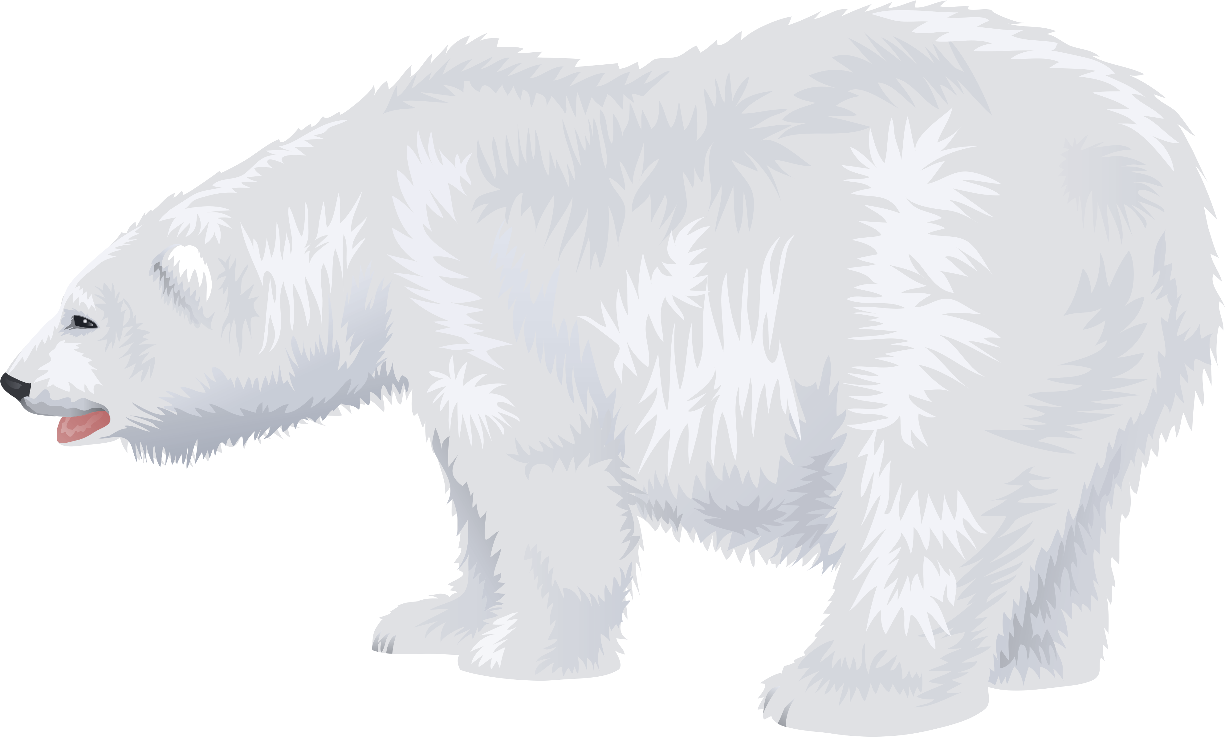Detail Polar Bear No Background Nomer 46