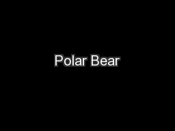 Detail Polar Bear Polar Bear What Do You Hear Powerpoint Nomer 30