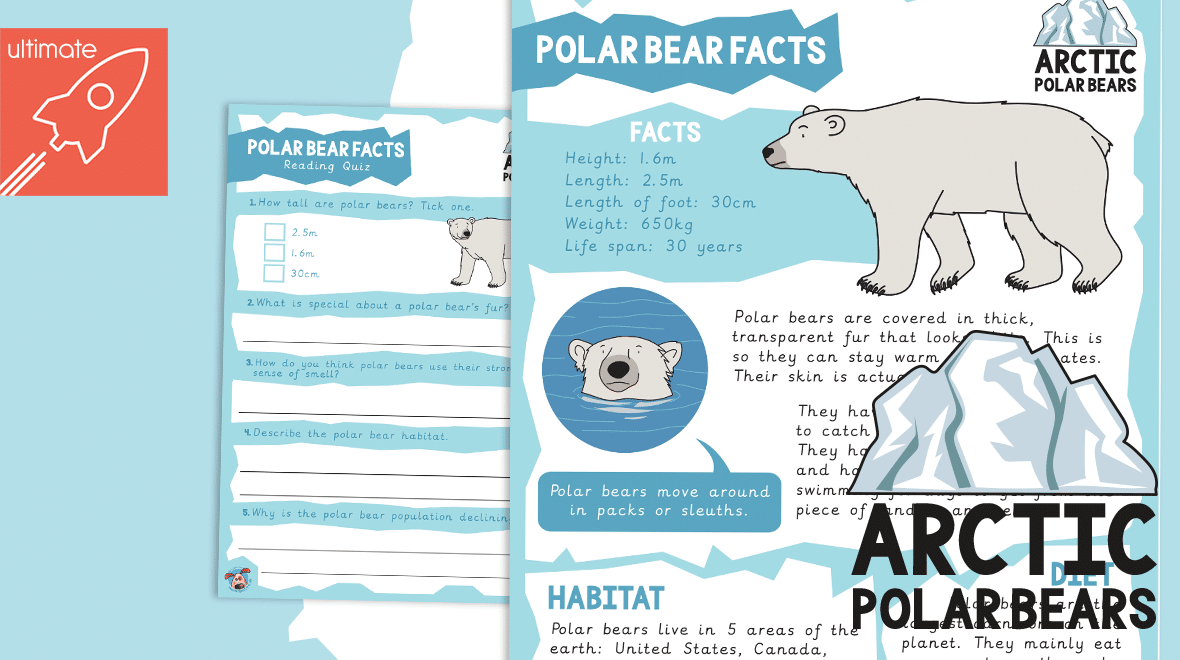 Detail Polar Bear Polar Bear What Do You Hear Powerpoint Nomer 48